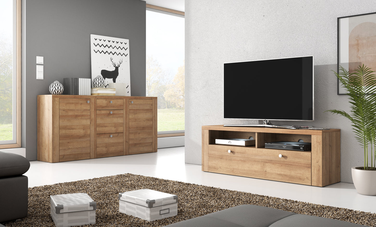 Meubles TV et Salon