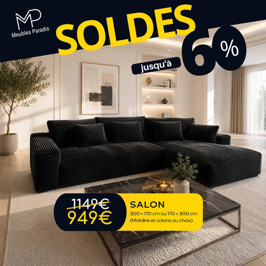Salon 300x170 ou 170x300